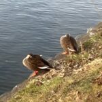 2023年 新年のご挨拶